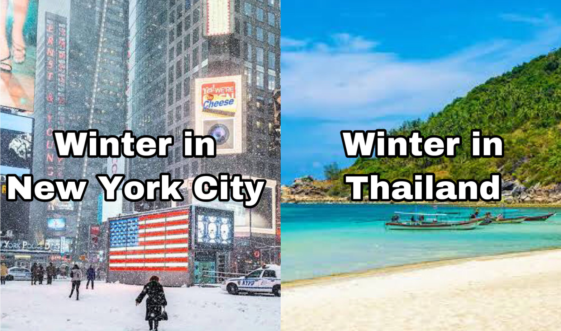 NYC vs Thailand