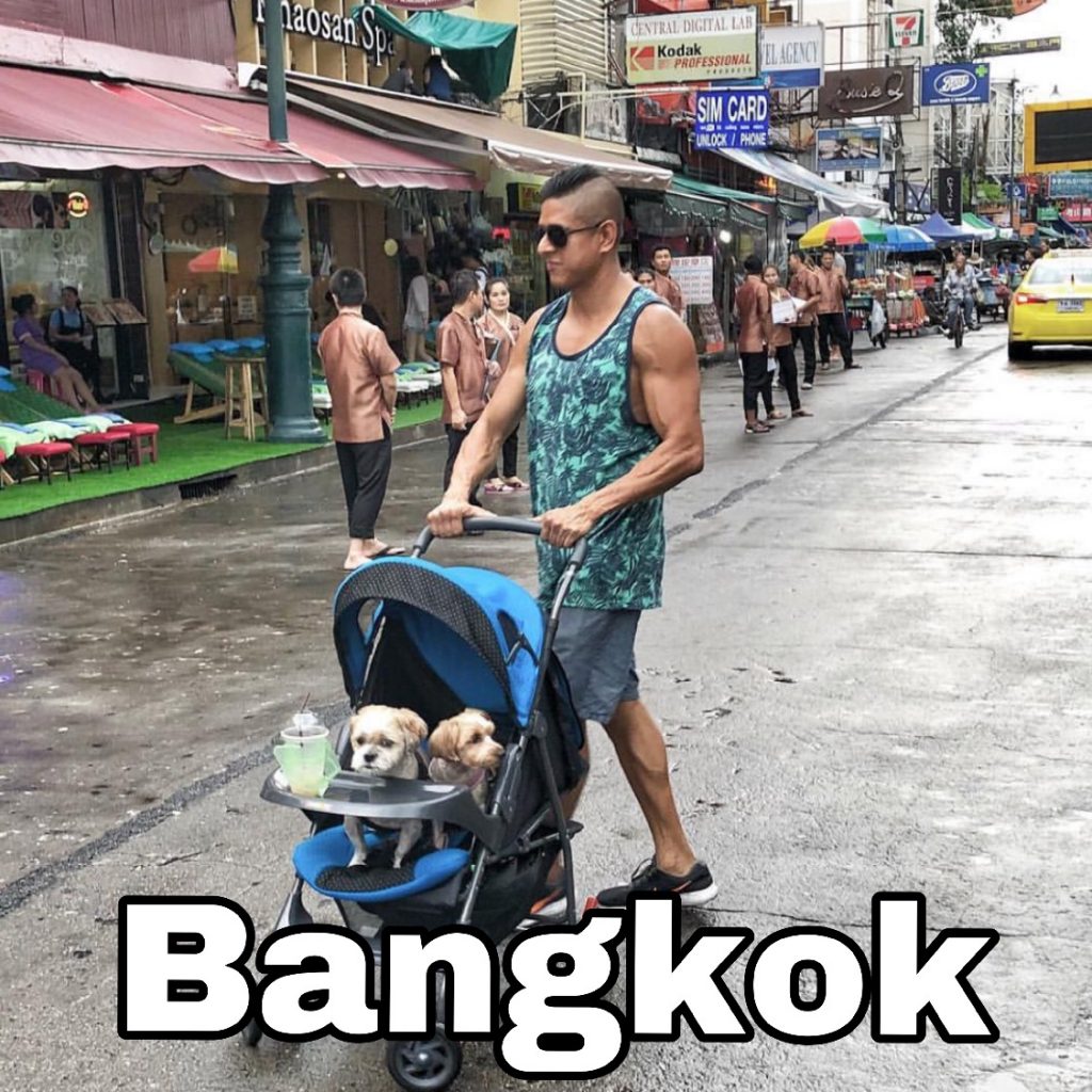 Pet Friendly Hotels in Thailand Bangkok
