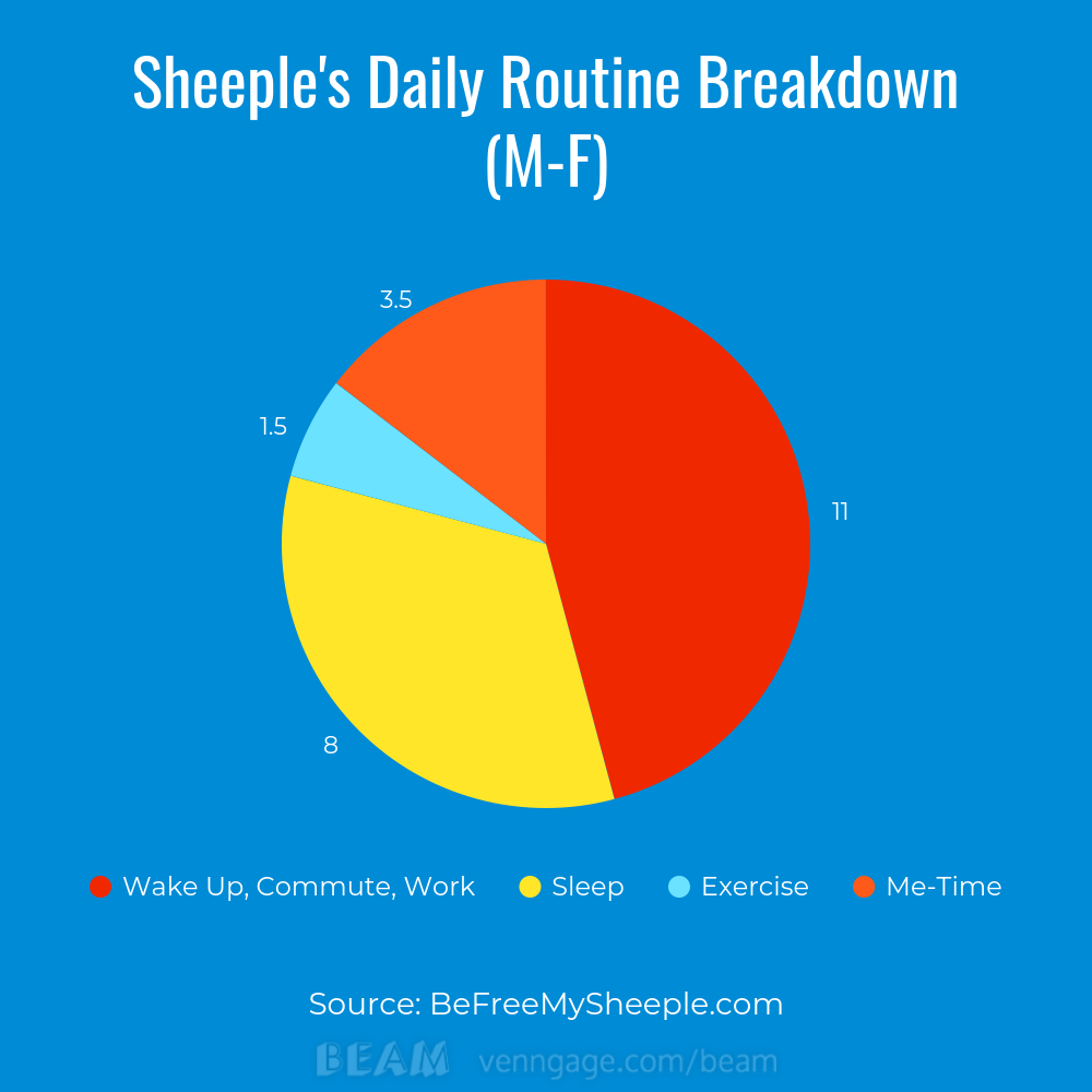 Sheeple's Daily Routine Breakdown