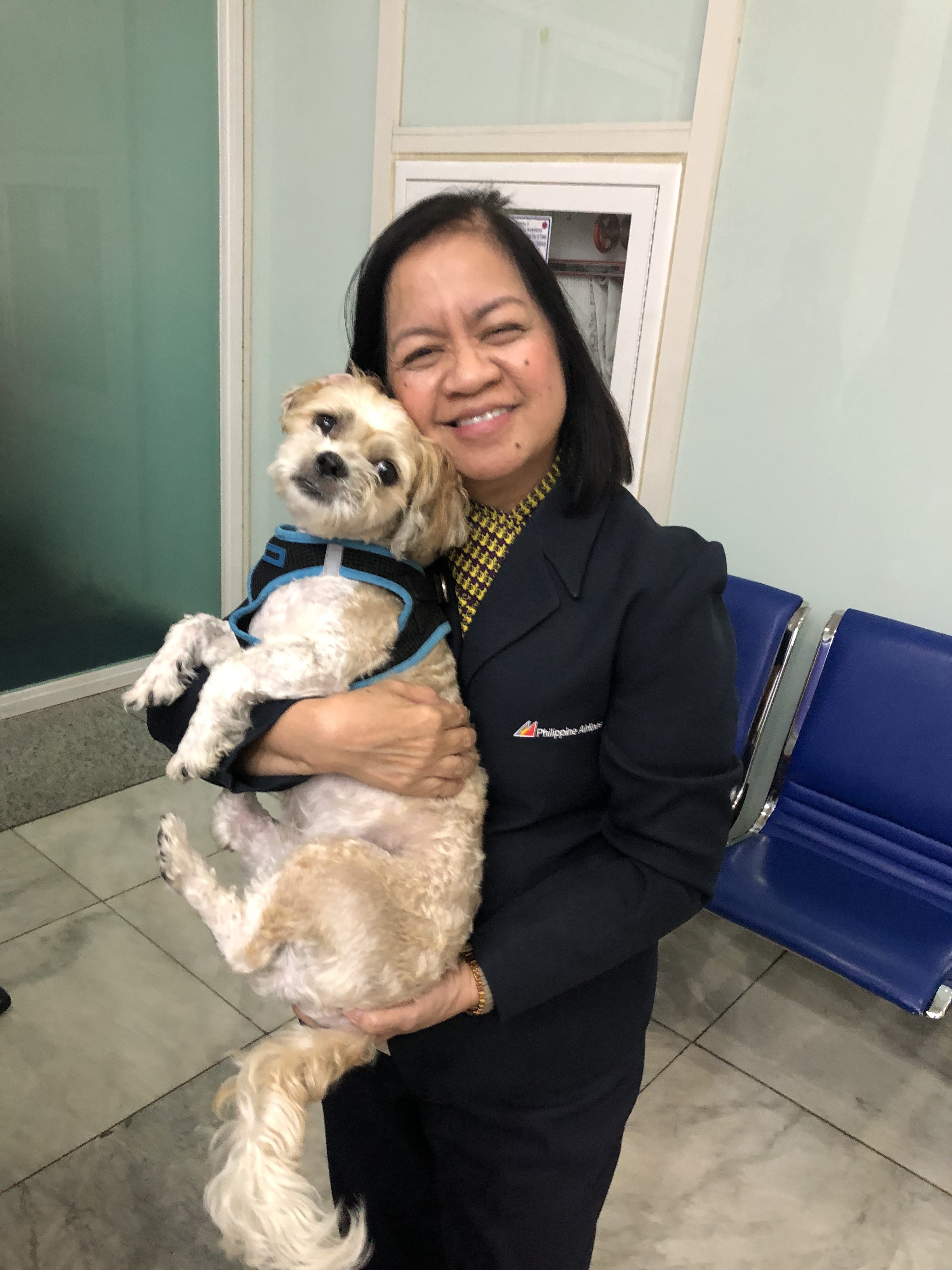 does philippine airlines allow dogs in cabin