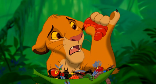 Simba eating insects