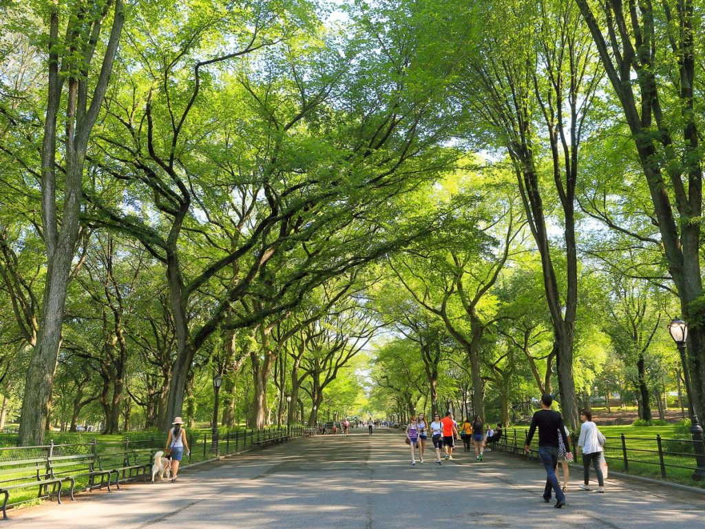 Central Park