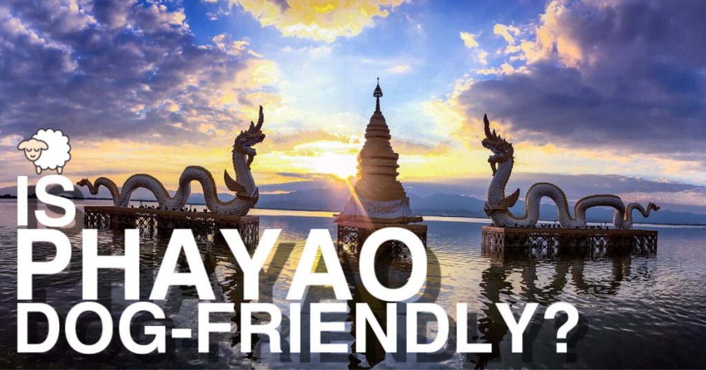 Is Phayao Dog-Friendly?