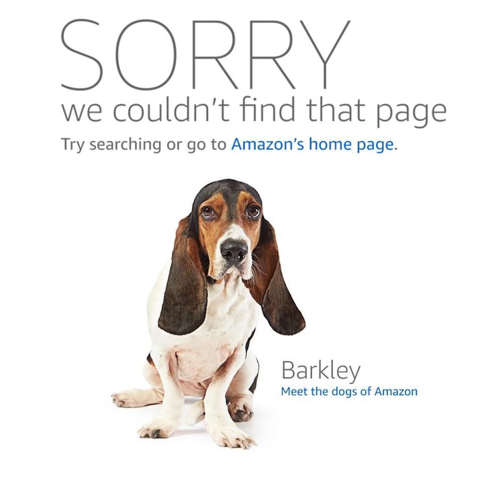 Amazon.com dogs