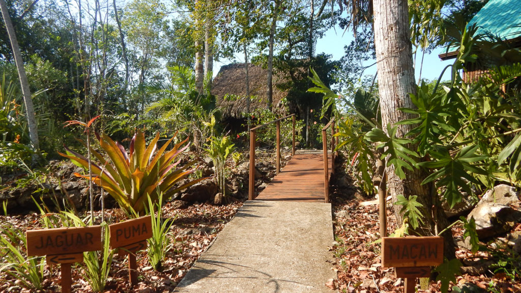 Mariposa Jungle Lodge jungle