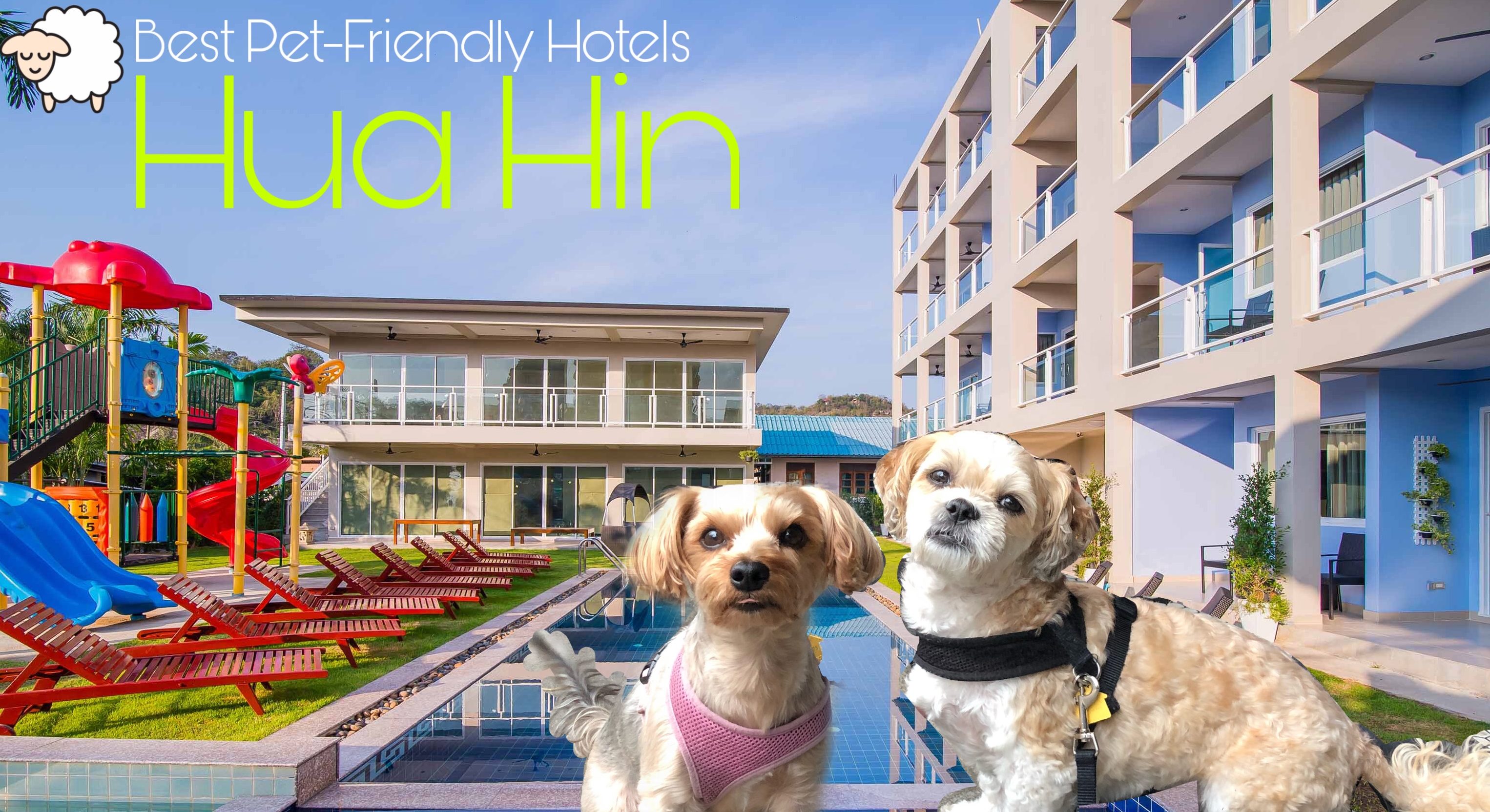 Best Pet-Friendly Hotels in Hua Hin