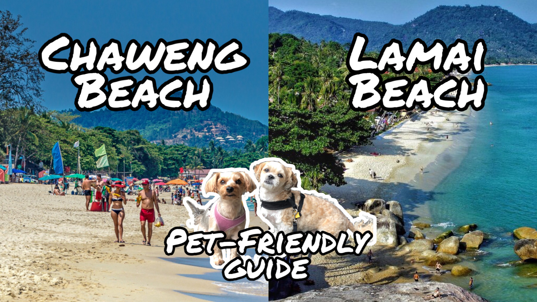 Lamai Beach vs Chaweng Beach